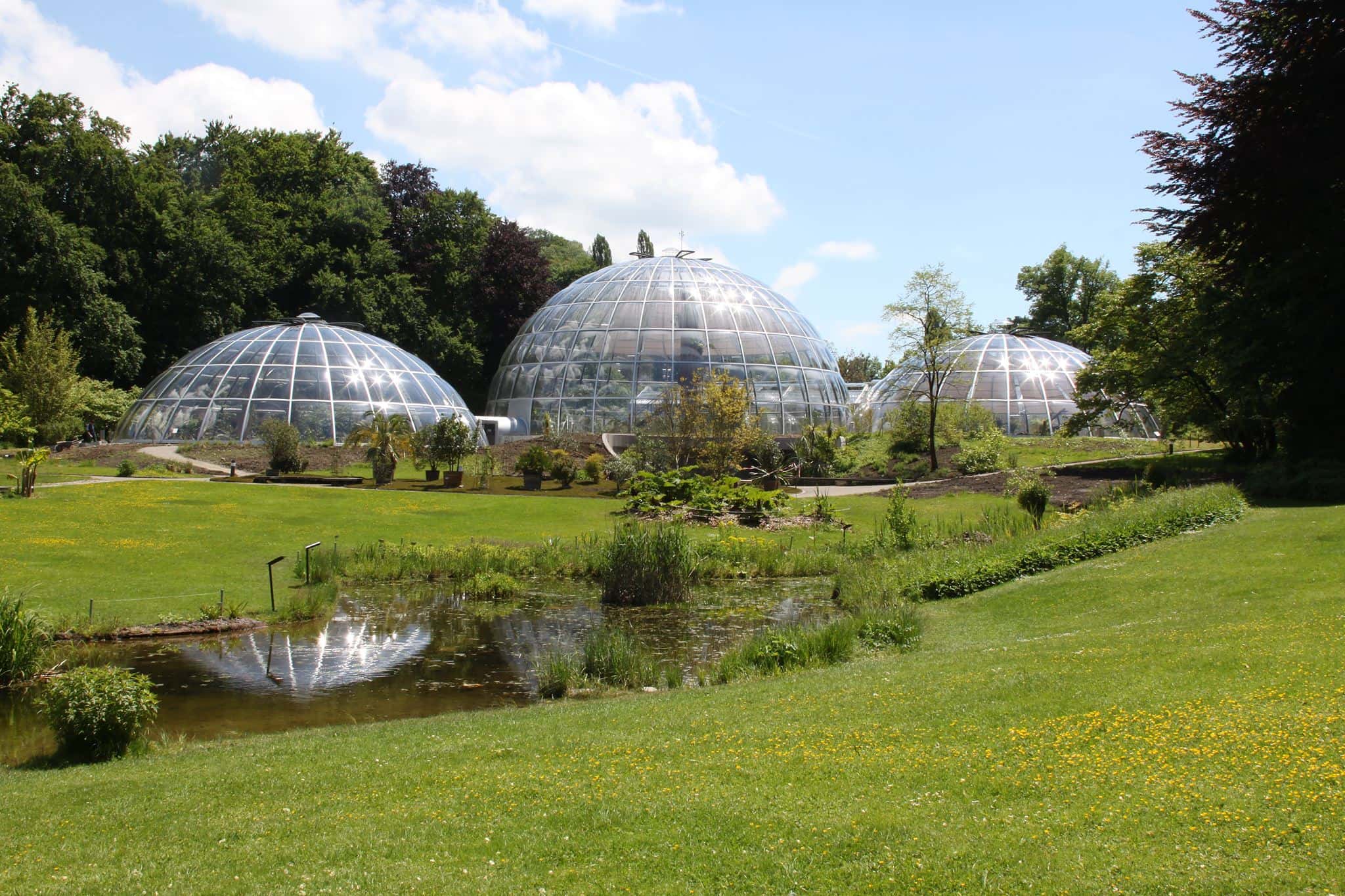 Jardín Botánico de Zurich Conoce los parques y jardines más
